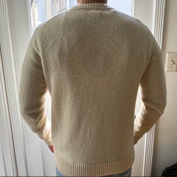 Patagonia Men's Recycled Wool-Blend Sweater in Natural - Picture 6 of 9